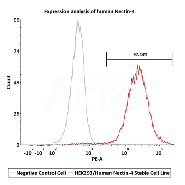 Nectin-4过表达细胞株活性验证-FACS