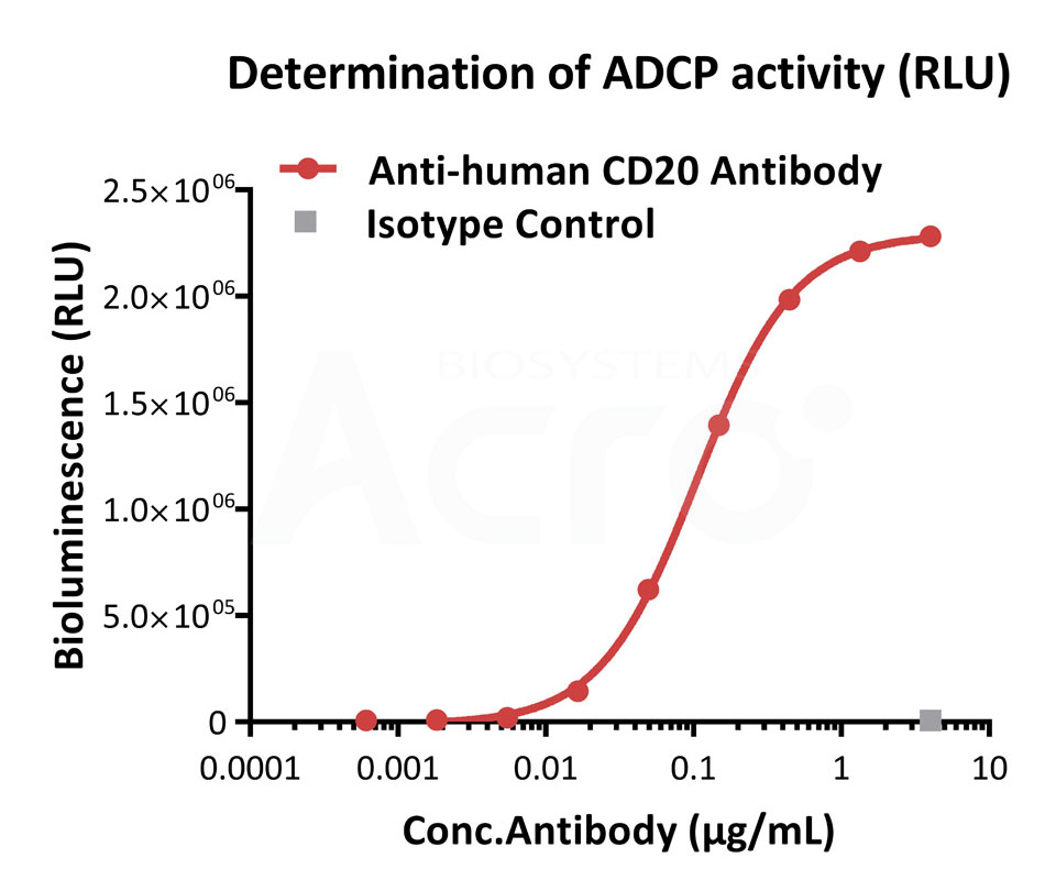 Human CD32a (131H) (Luc) Jurkat Reporter Cell Development Service (Cat.No. SCJUR-STF069)