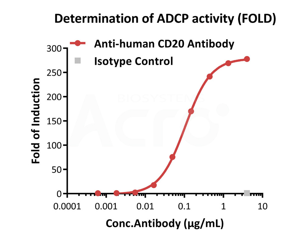 Human CD32a (131H) (Luc) Jurkat Reporter Cell Development Service (Cat.No. SCJUR-STF069)