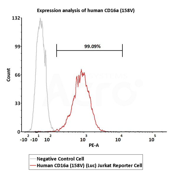 Human CD16a (158V) (Luc) Jurkat Reporter Cell Development Service (Cat.No. SCJUR-STF067)