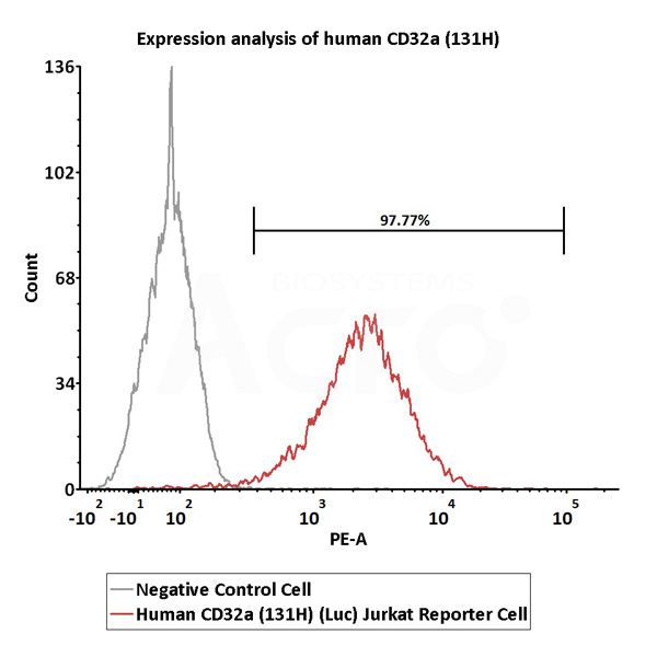 Human CD32a (131H) (Luc) Jurkat Reporter Cell Development Service (Cat.No. SCJUR-STF069)