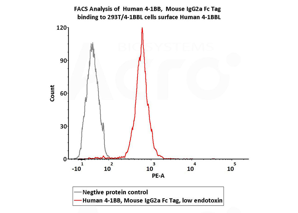 细胞功能活性经FACS及cell-based assay验证