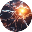 Aneuro，助力脑科学研究