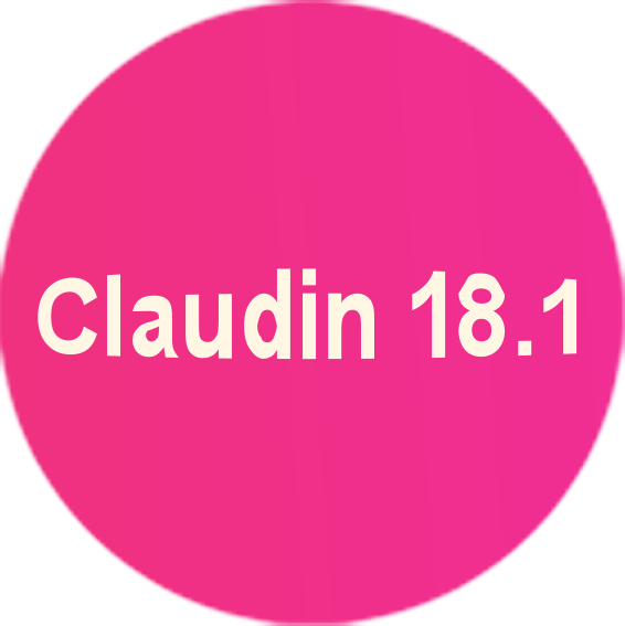 Claudin 18.2