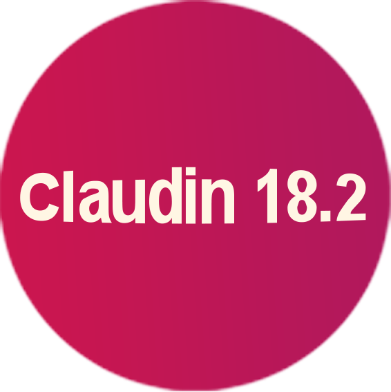 Claudin 18.1