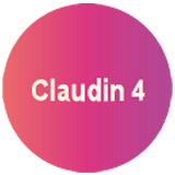 Claudin 18.4