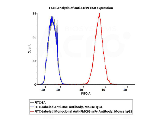 DNP-FM1-F3