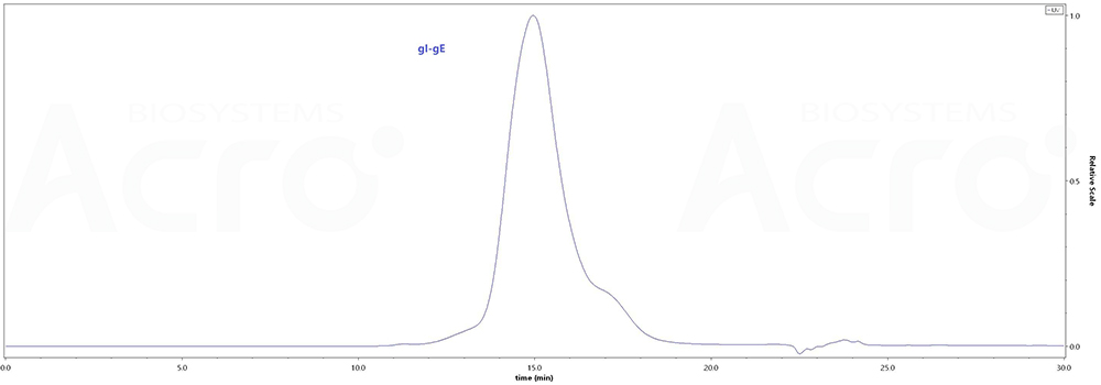 Glycoprotein I & Glycoprotein E/gI & gE (VZV)