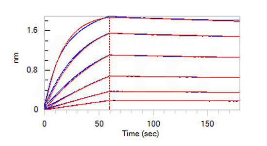 IL3-H82E5-B1