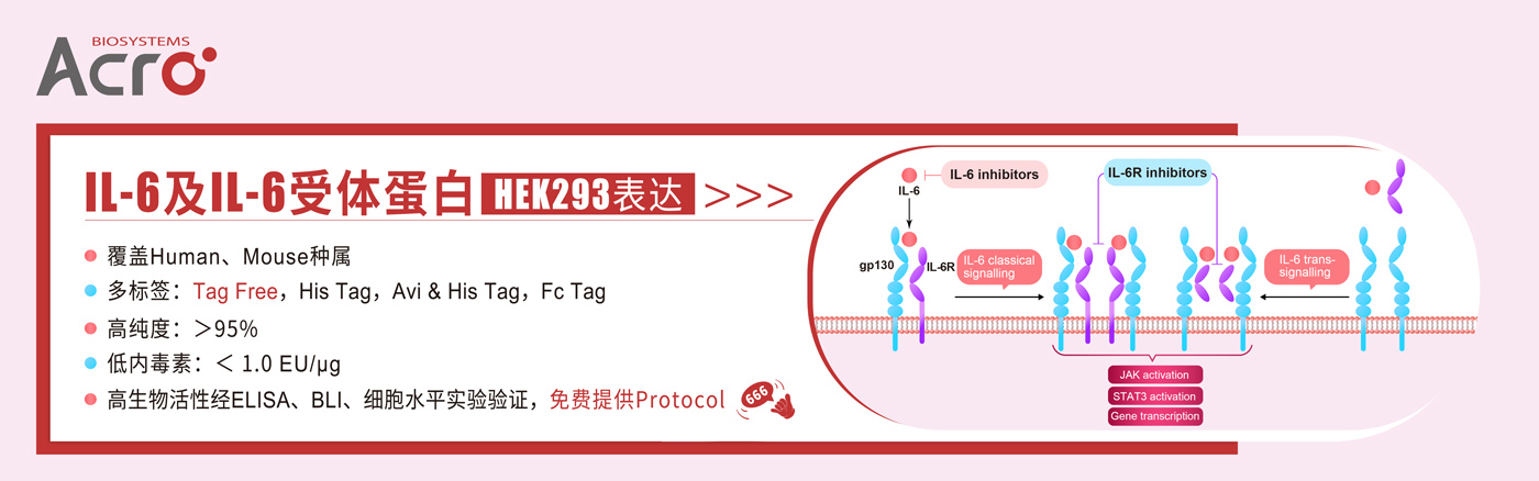 IL-6及IL-6受体蛋白