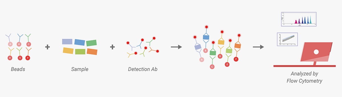 ClinMax™基于流式细胞术的Multiplex Bead Assay原理