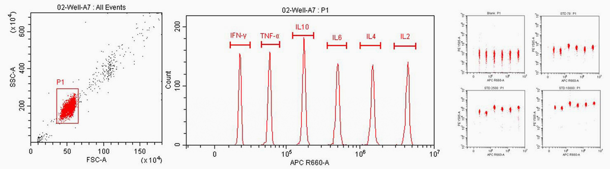 A representative scatter plot showing single bead population in P1 gate (left)