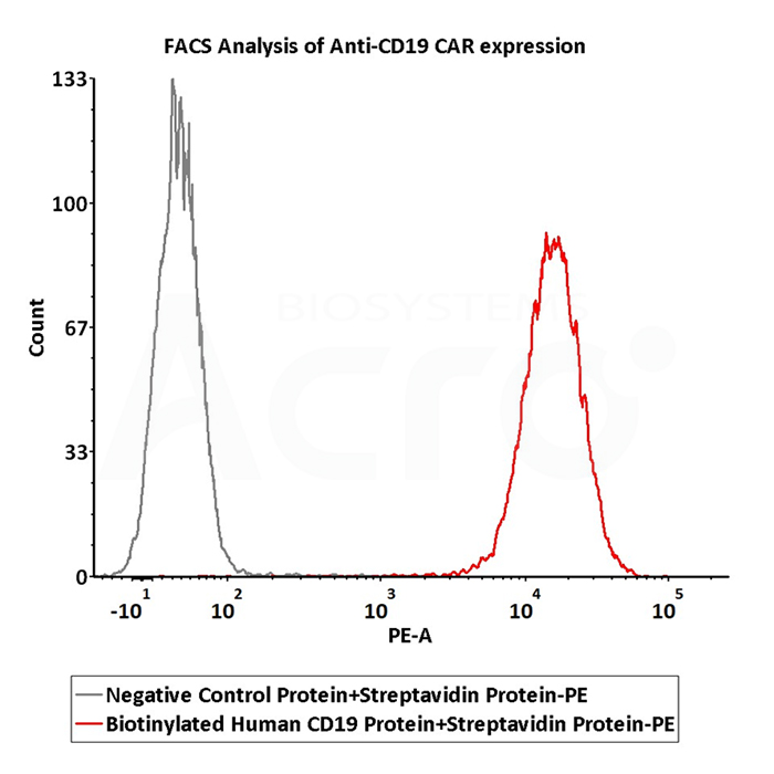 PE标记SA蛋白验证数据（FACS）