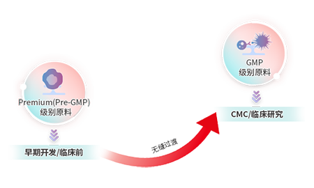 从临床前开发到临床阶段的无缝过渡