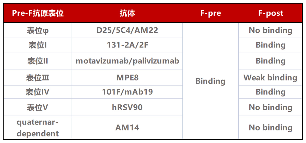 RSV疫苗研究的分水岭