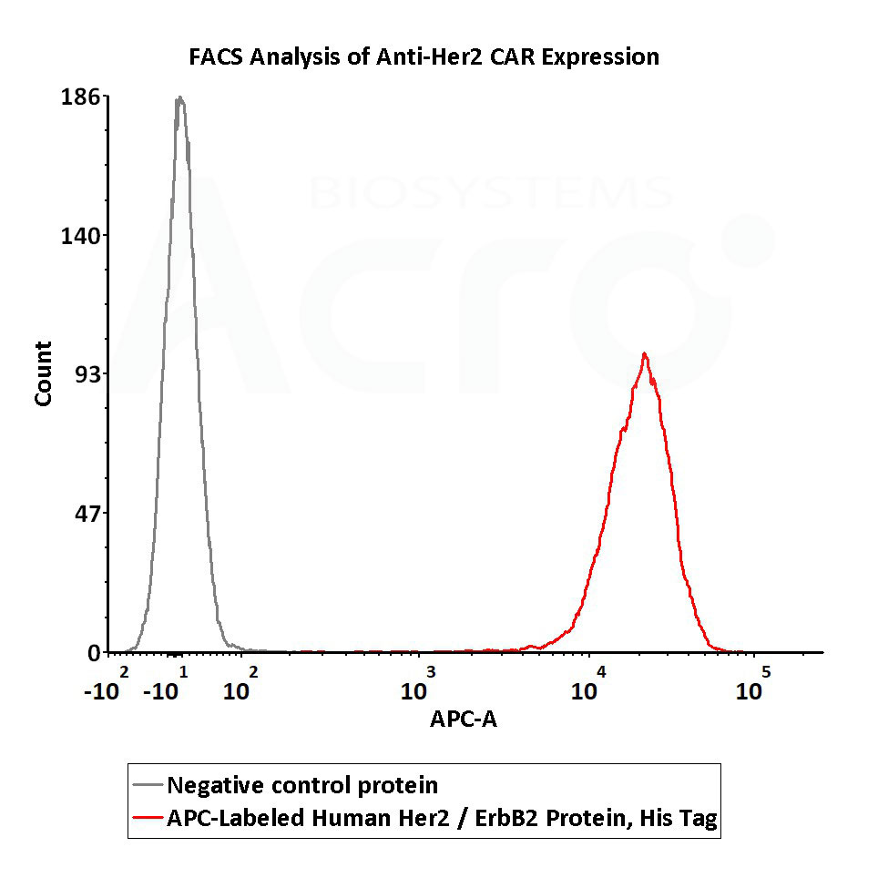 APC标记Her2高活性 经FACS验证