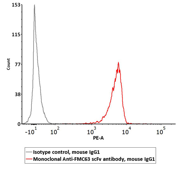 Detection of Anti-CD19 (FMC63) CAR Expression