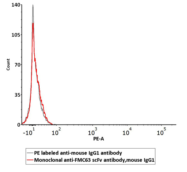 Assessment of Non-specific Binding to 293 Cells