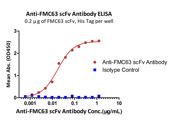 Binding Activity and Specificity Measured by ELISA