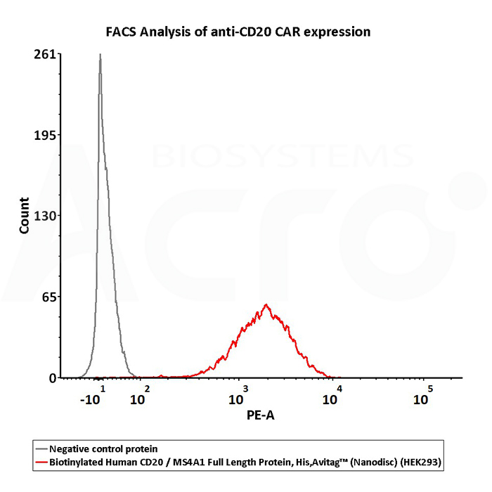 全长CD20蛋白能提供更好的活性