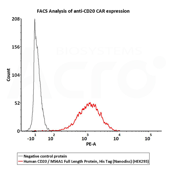 全长CD20蛋白能提供更好的活性