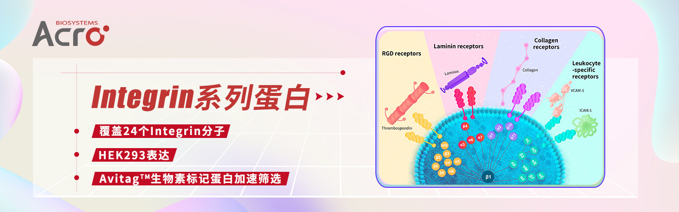 Integrin整合素蛋白