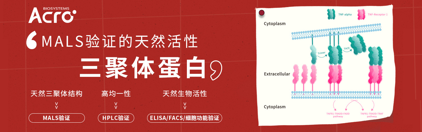 MALS验证的高生物活性重组三聚体蛋白