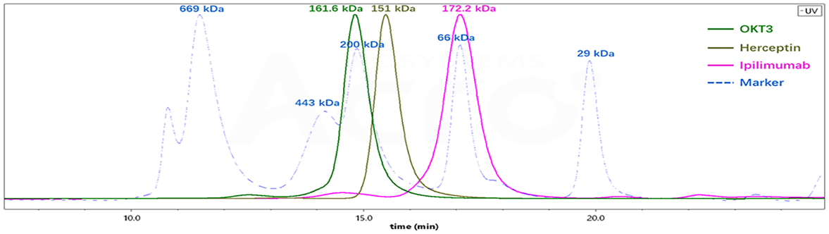 Fig 1. 不同抗体的SEC-HPLC分子量测定结果