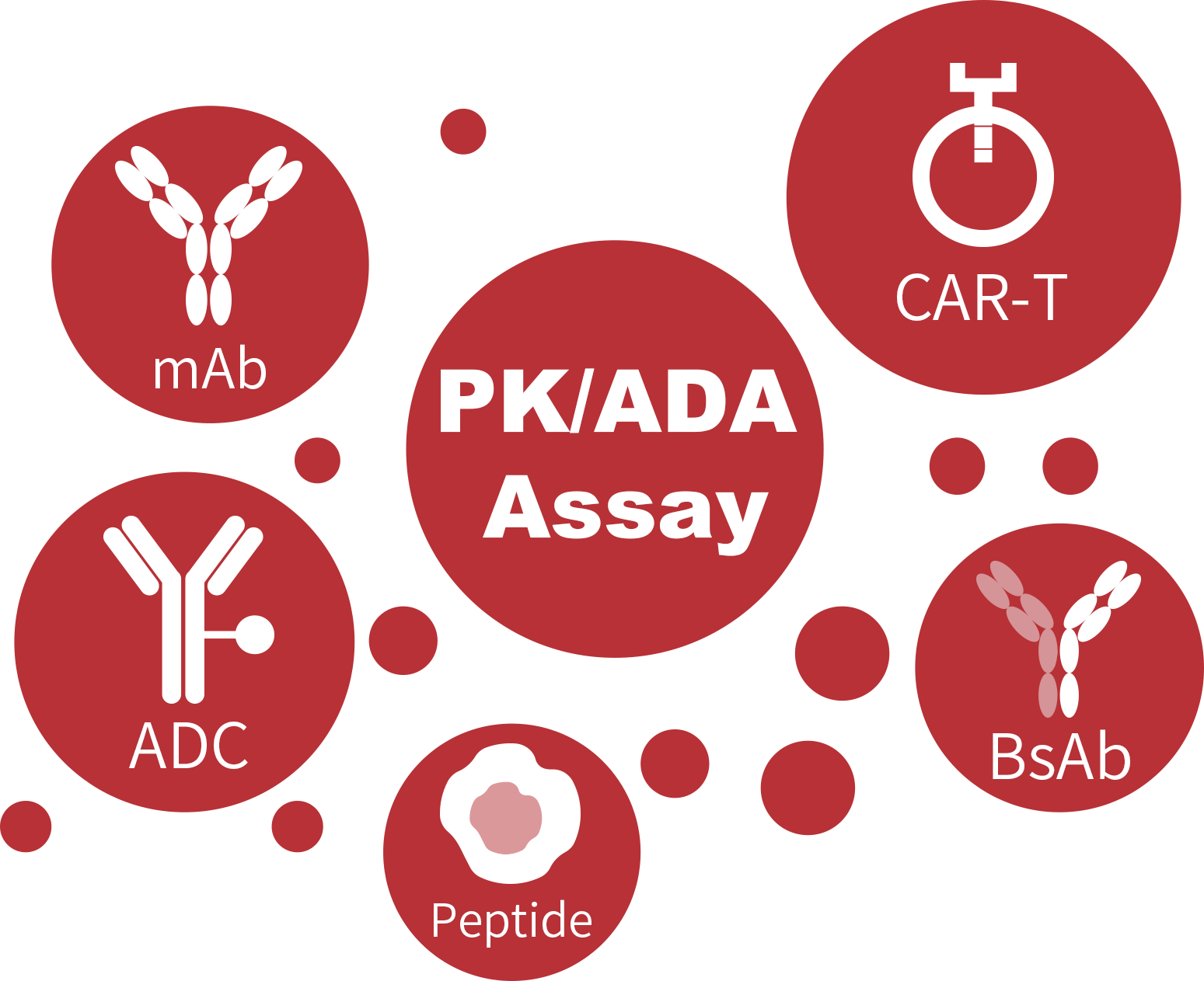 单抗，双抗，ADC, CAR-T