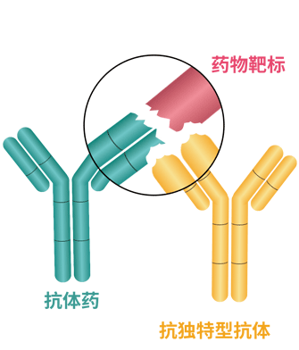 药物靶标复合物型