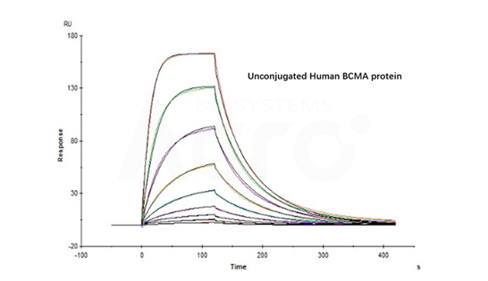 FITC-BCMASPR亲和力验证数据图