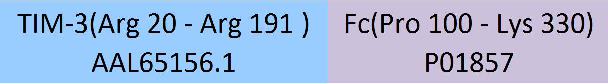 TIM-3 Structure