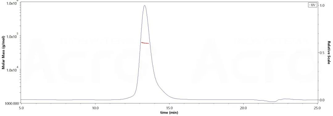 CD28二聚体结构经MALS验证