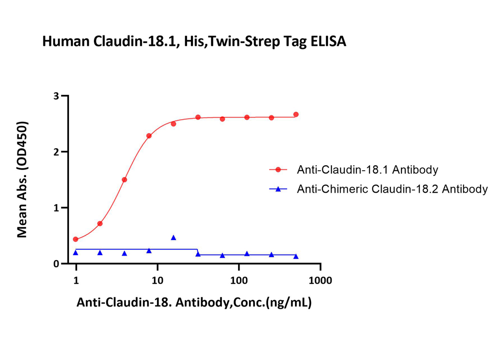 Claudin 18.1蛋白