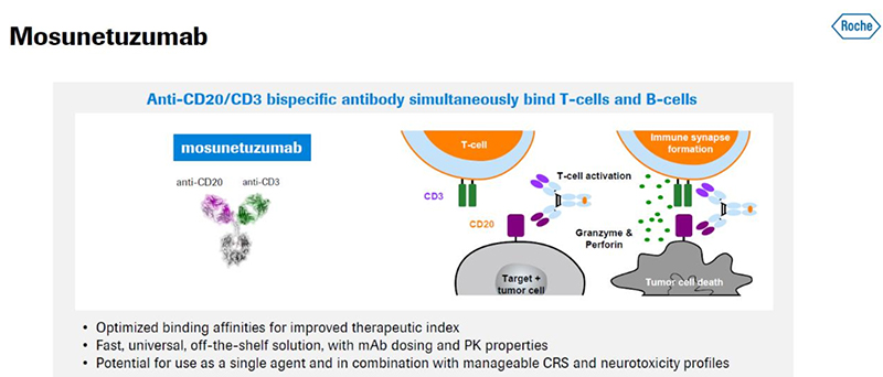 Mosunetuzumab的作用机制