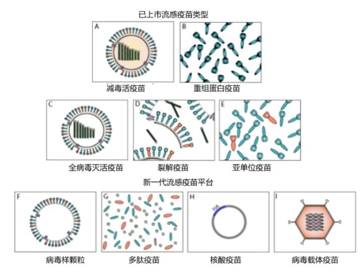 流感疫苗技术路线