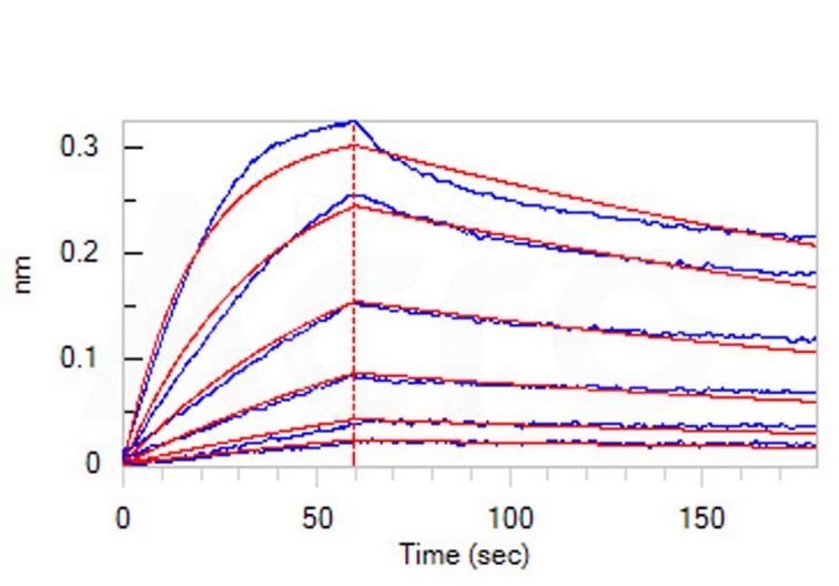 高生物活性经ELISA/SPR/BLI/Cell based assay验证