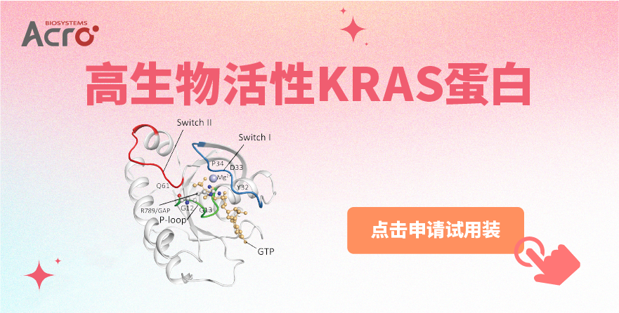 KRAS蛋白