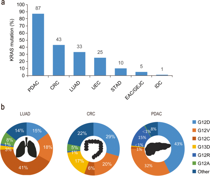 多种人类癌症中 KRAS 突变的类型和比例