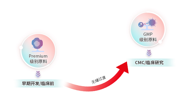 GMP级别原料