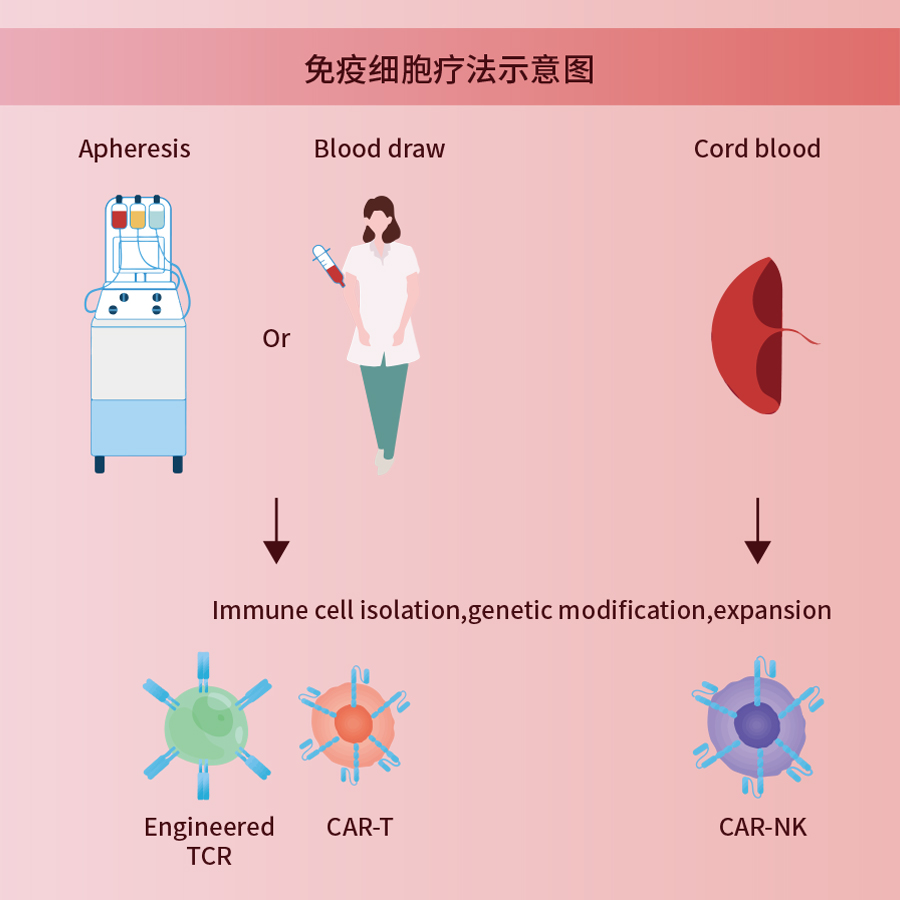 免疫细胞疗法示意图