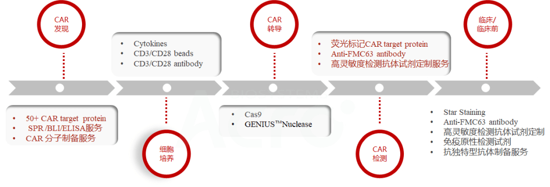 CGT药物所需试剂