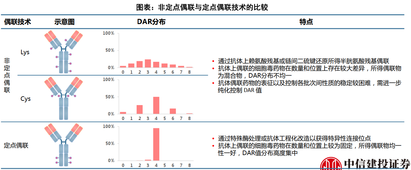 非定点偶联和定点偶联的比较