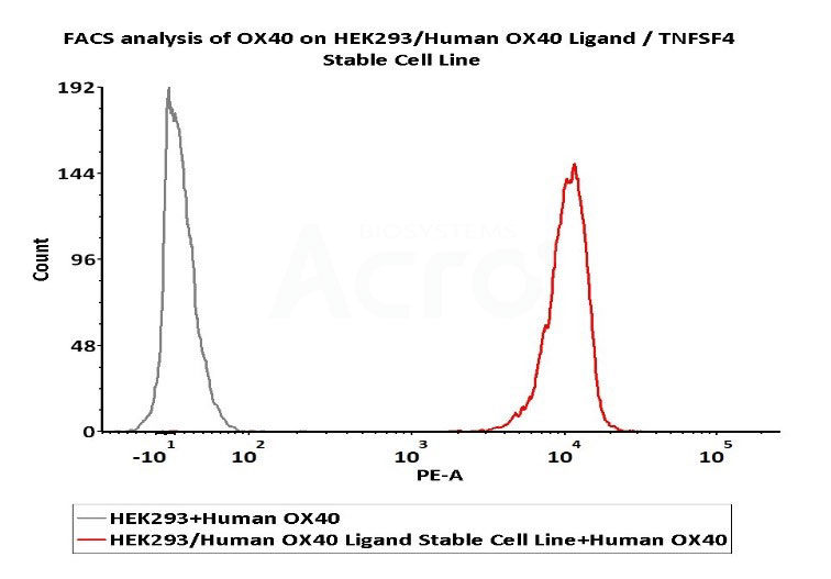  TN4-H82E4