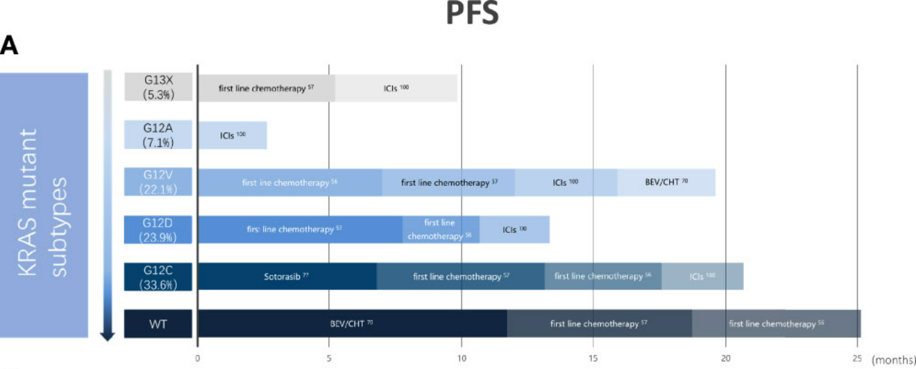 具有 KRAS 野生型和不同 KRAS 突变的 NSCLC 患者的汇总 PFS