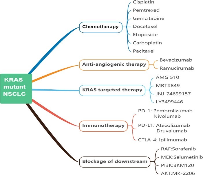 KRAS 突变 NSCLC 的当前治疗方法