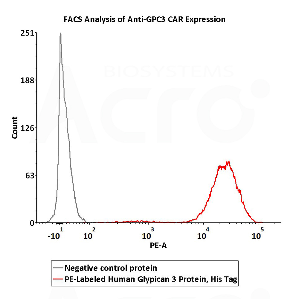 PE-Labeled Human Glypican 3