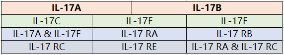 IL-17靶点蛋白