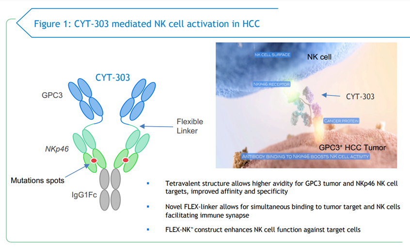 基于Flex-NK平台开发的CYT-303（图片来源：Innate Pharma）