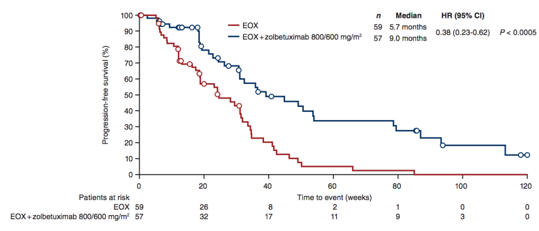 Zolbetuximab 联合 EOX 较单用 EOX 化疗，显著延长 PFS（9.0 个月 vs 5.7 个月）